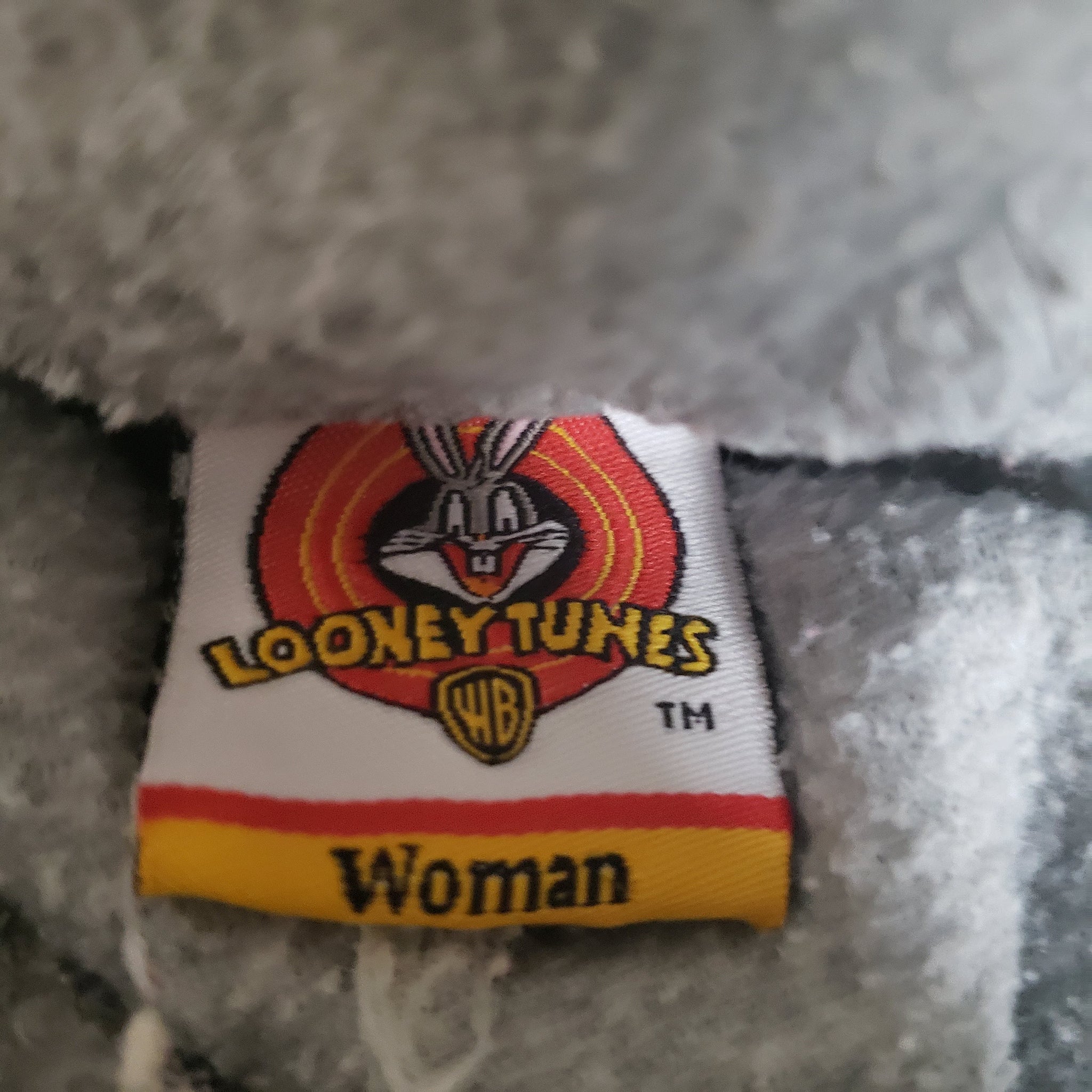 Vintage Looney Tunes Tweety Hoodie Size 2X
